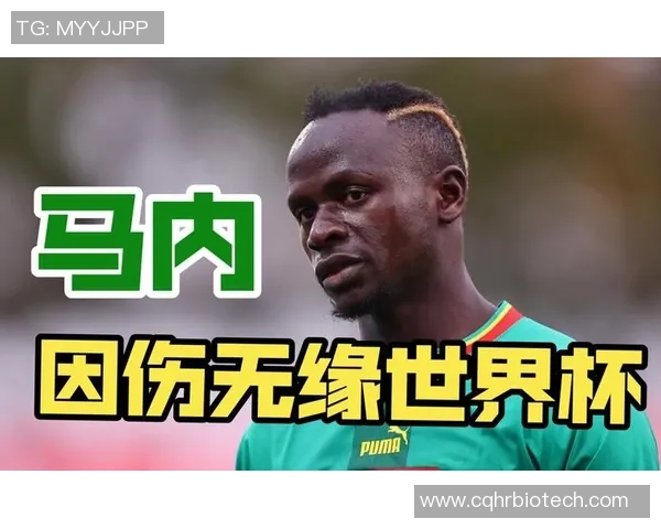 前塞内加尔主帅回忆马内罢赛时的关键对话与决策建议