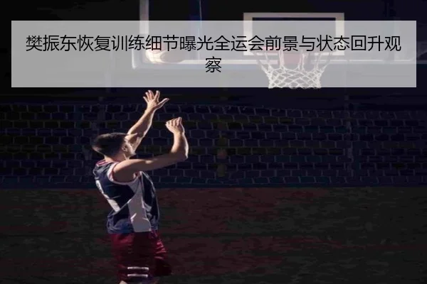 樊振东恢复训练细节曝光全运会前景与状态回升观察